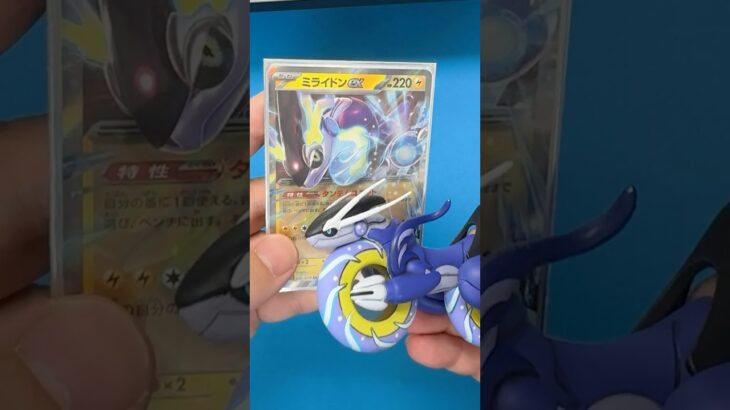 ミライドンPokémon Trading Card Game  #shorts #ポケモン #Pokémon #pokemoncards