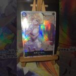 Stussy ステューシー One Piece ワンピース