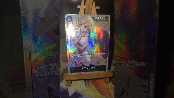 Stussy ステューシー One Piece ワンピース