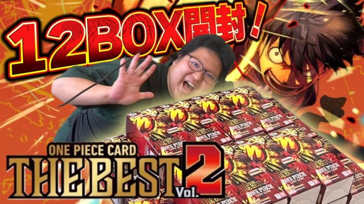 ワンピースカードゲーム！　THE BEST Vol.2 20BOX(1カートン)開封！！