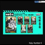 Weiss Schwarz Hangout: Reading 2 Weeks of Cards and News! [07/23/2025]