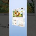 新弾【イーブイガーデン】ブイズarシリーズ可愛いすぎでしょ(//∇//)#shorts #pokemon #ポケポケ