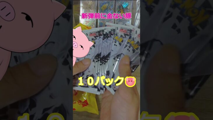 【爆買い？】新弾前に金ない豚#ポケカ #ポケモンカード #ポケカ開封 #shorts