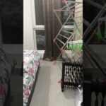 #遊戯王 #アニメ #デュエマ #ゲーム実況 #非公式遊戯王マスターデュエルモンスターズ #遊戯王好きと繋がりたい #趣味に生きるマスターデュエル ￼