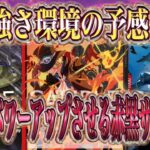 【ワンピースカード】受け継がれる意志新リーダー赤黒サボが環境有力過ぎた！