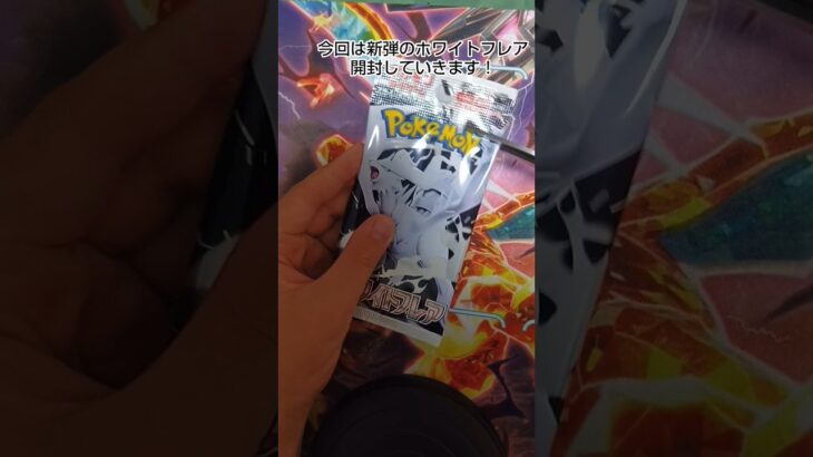ポケカ開封#ポケカ #新弾#ホワイトフレア #ダグハムチャンネル