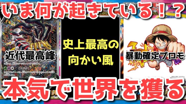 【ポケカ】嘘だろ！？敵に塩を送る名将株ポケ！独壇場確定！！！【ポケカ高騰】
