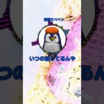 ガチのマジでデュエマ強いけど質問ある？#デュエマ