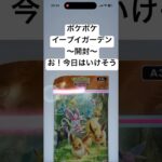 ポケポケ【イーブイガーデン】開封してみた！！#パック開封 #ポケカ #ポケモンカード #ポケモン #ポケカ開封 #アプリ #アプリゲーム #ソシャゲ#ポケポケ#ゴッドパック