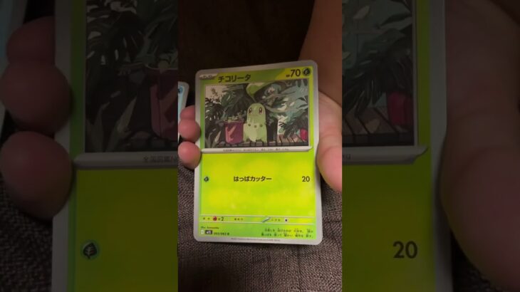 ［ポケカ］新弾　メガシンフォニア　バラ開封11  #pokemon #pokemoncards #pokemontcg #pokemontcgpocket