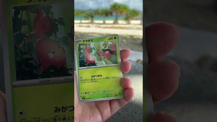 【メガブレイブ】2パック開封　#shorts #pokemon #メガブレイブ