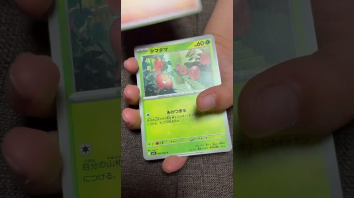 ［ポケカ］新弾　メガブレイブ　バラ開封6　 #pokemon #pokemoncards #pokemontcg #pokemontcgpocket