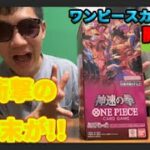 【神Box】ワンピースカード新弾「神速の拳(けん)」のカード開封をしたら、奇跡が起きたｗ！