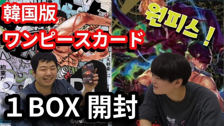 【ワンピースカード開封動画】OP-06　双璧の覇者【韓国版】