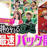 【公式】ブースターパック『受け継がれる意志【OP-13】』パック開封【ワンピカード情報局】（ONE PIECEカードゲーム）