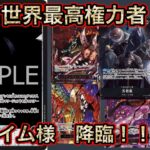 【世界最高権力】イム様降臨！！最強青紫ルフィと激突！【OP13新リーダー】
