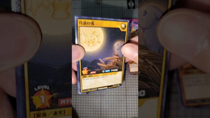 キャラクターパック ガクト・ロア・ロミン #遊戯王  #遊戯王ラッシュデュエル #rushduel  #asmr #opening #開封動画