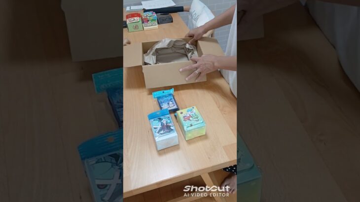 ポケカグッツ開封#ポケカ#シールド#デッキケース#ピカチュウ#新弾#ロコン#ダイゴ#御三家#メタグロス