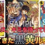 【ワンピカ】黒黄ルフィ超強化!?新弾のエースが弟を助けにきた！！！【ワンピースカード/ワンピカード】【初心者／対戦】