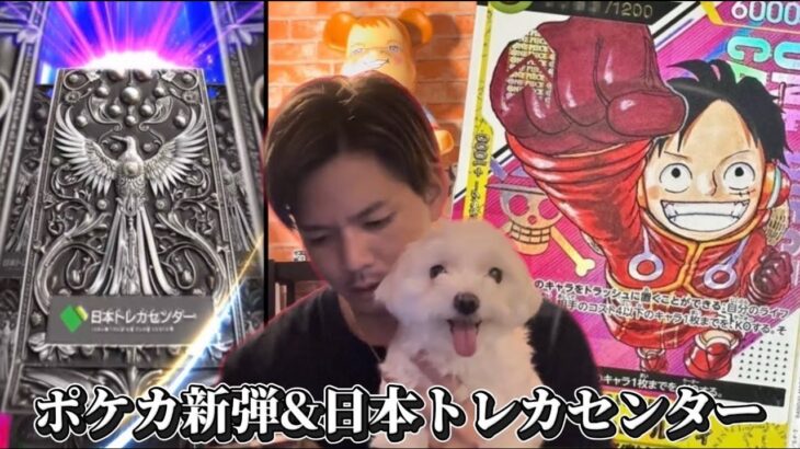 【日本トレカセンター】ポケカ新弾開封＆シリアルルフィが欲しい陰キャラと犬