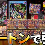 レッドアイズとゼラ強化カード狙いでカートンを剥く元全米チャンプ【遊戯王ラッシュデュエル/戦慄のアウターバース】