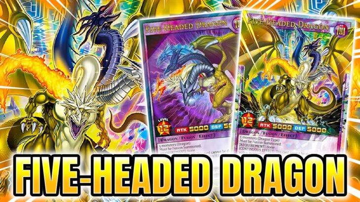 FIVE-HEADED DRAGON DECK PROFILE! – Yu-Gi-Oh Rush Duel – EDOPRO #rushduel