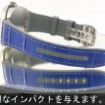 FRANCK MULLER ヴァンガード  アイアンコブラ V45 SC DT AC NR IRON COBRA