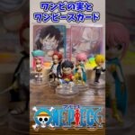 ワンピの実とワンピースカード並べてみた！その１【ONE PIECE】
