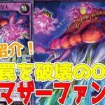 【ラッシュデュエル】新規紹介！OTSマザーファンガス！魔法罠を破壊できるフュージョン！！！【遊戯王】