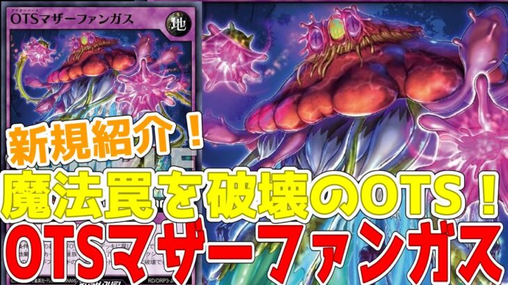 【ラッシュデュエル】新規紹介！OTSマザーファンガス！魔法罠を破壊できるフュージョン！！！【遊戯王】
