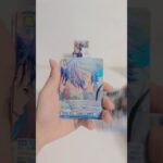 #開封動画 #honeyworks #ヴァイスシュヴァルツブラウ