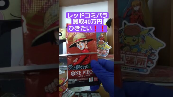 【onepiece】買取額40万円のレッドコミパラを求めてワンピースカード受け継がれる意志を開封 #onepiece #ワンピース #shorts