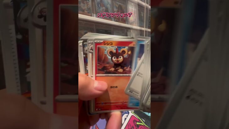 【ポケカ開封】メガシンフォニア！ノオー #ポケモンカード #ポケカ #ポケモン #ポケカ開封 #pokemon #pokemoncards #新弾開封