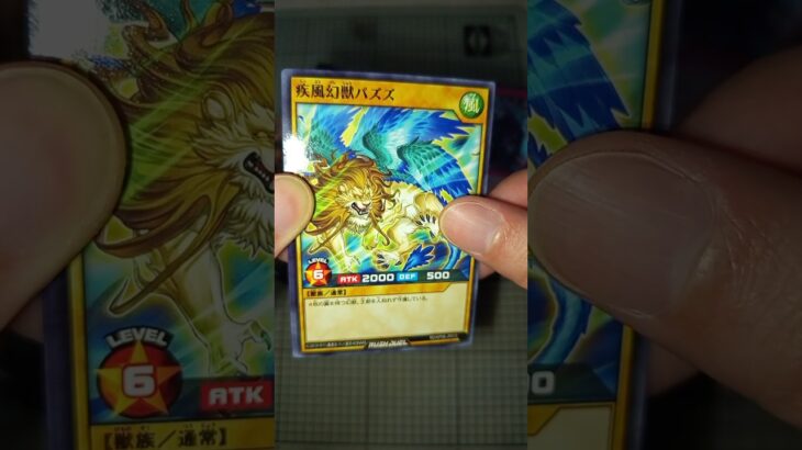 デッキ改造パック 激闘のサンダーストーム #遊戯王ラッシュデュエル #rushduel  #asmr #opening #開封動画 #遊戯王