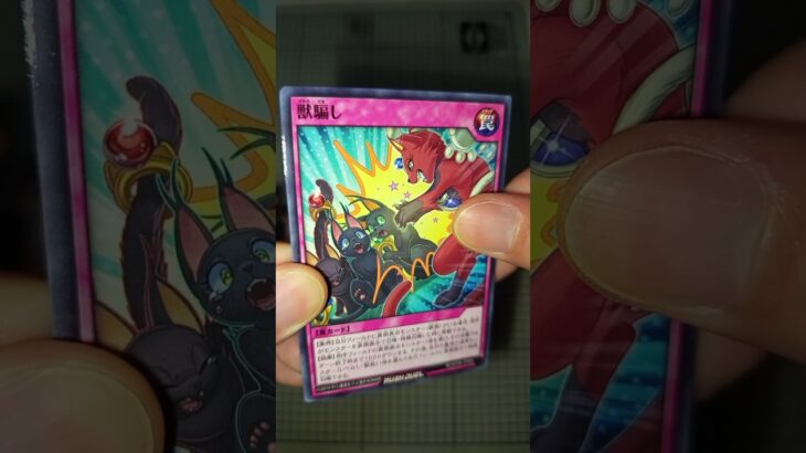 デッキ改造パック 激闘のサンダーストーム #遊戯王ラッシュデュエル #rushduel  #asmr #opening #開封動画 #遊戯王