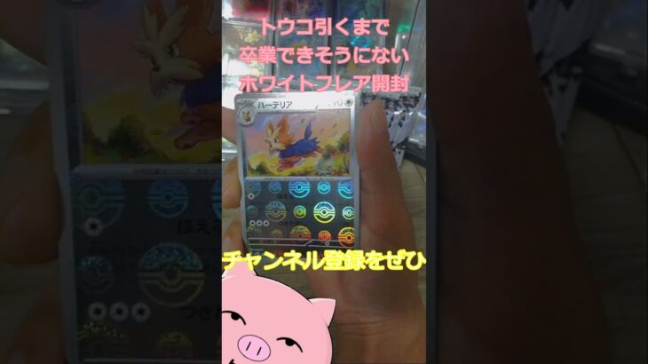 🐷狙うはトウコ🐷ホワイトフレア再版の時にゲオたくさん回って買ったもの開封#ポケカ #ポケカ開封   #shorts   #ホワイトフレア