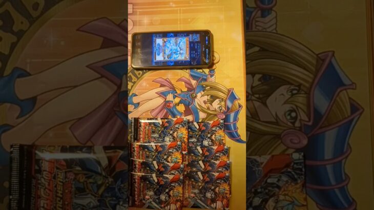 進撃のアクセルロードを開封　レノアールを狙う