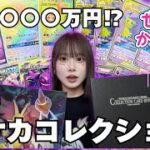 【初公開】愛強めでドン引き⁉︎限界ポケカコレクションがこちらです👻【ポケカ】