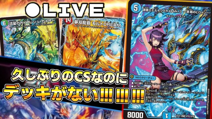 環境が分かりません。助けてください。【雑談】【デュエマ】