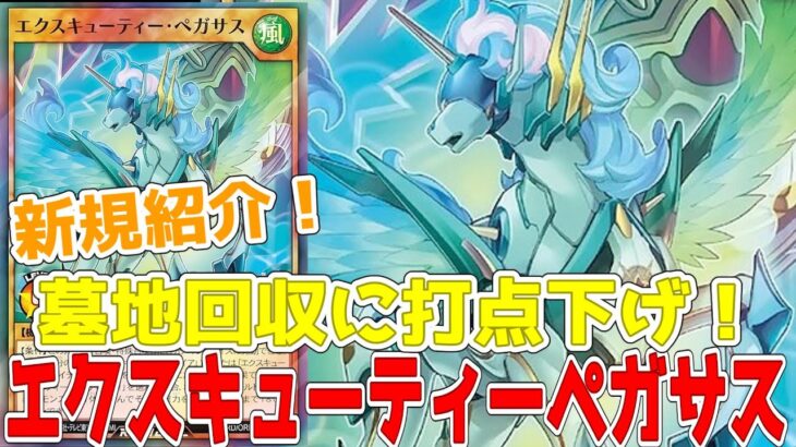 【ラッシュデュエル】新規紹介！エクスキューティーペガサス！墓地回収に1800下げ！！【遊戯王】