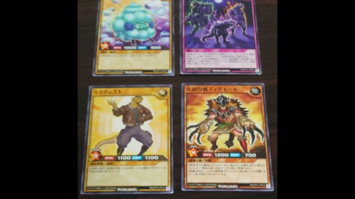 【遊戯王ラッシュデュエル】破滅のレクイエム‼️2パック開封(縦、横ミックス)