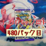 【毎日開封】毎日トレカ１パック開封〜480パック目〜ポケモンカードゲーム　レイジングサーフ