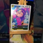 Franky フランキー One Piece  ワンピース