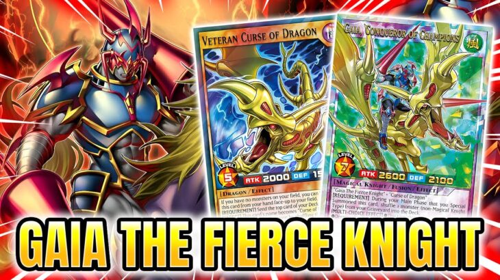 Gaia The Fierce Knight Deck | Yu-Gi-Oh Rush Duel – EDOPRO