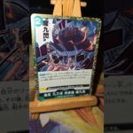 Lorenor Zorro ロロノア・ゾロ Bartholomäus Bär Kuma バーソロミュー・くま One Piece  ワンピース