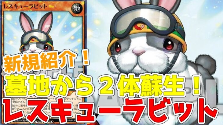 【ラッシュデュエル】新規紹介！レスキューラビット！OCGと効果の異なる２体特殊召喚！！！【遊戯王】