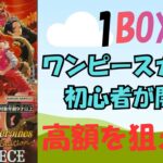 【初心者でも神引き!?】ONE PIECEカード新弾ヒロインズを開封してみた！