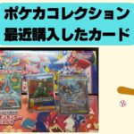 【ポケカ】最近購入したポケカやシングルカードなどを紹介します。Pokémon Trading Card Game