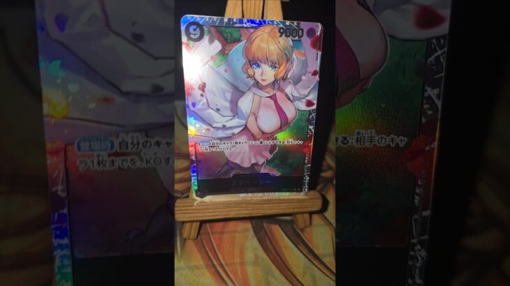 Stussy ステューシー One Piece ワンピース