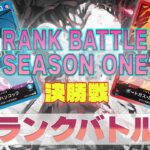 青ハンコック VS 赤青エース OVERSEAS ランクバトル 決勝【ワンピースカード】【対戦動画】